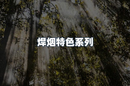 焊烟特色系列