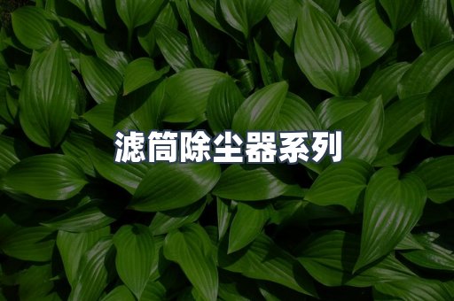 滤筒除尘器系列